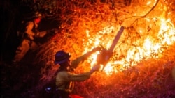 Suben a 24 el número de víctimas confirmadas por los incendios en Los Ángeles, más de una decena continúan desaparecidas
