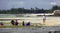 COVID DIARY TV Ruud Elmendorp -- USAGM