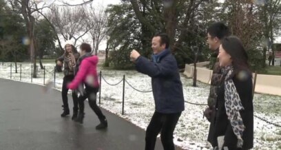 Late Cherry Blossoms Disappoint Washington Tourists