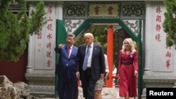 组图：美国总统特朗普在中南海会晤中国国家主席习近平