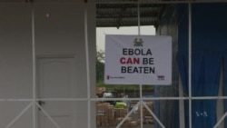 WHO: Number of New Ebola Cases in West Africa Leveling Off