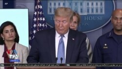 اخبار شامگاهی