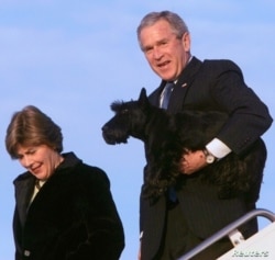 El presidente de Estados Unidos, George W. Bush, sostiene a su mascota, Barney, mientras él y la primera dama Laura Bush caminan por la rampa del Air Force One en la Base de la Fuerza Aérea Andrews, el 1 de enero de 2006.