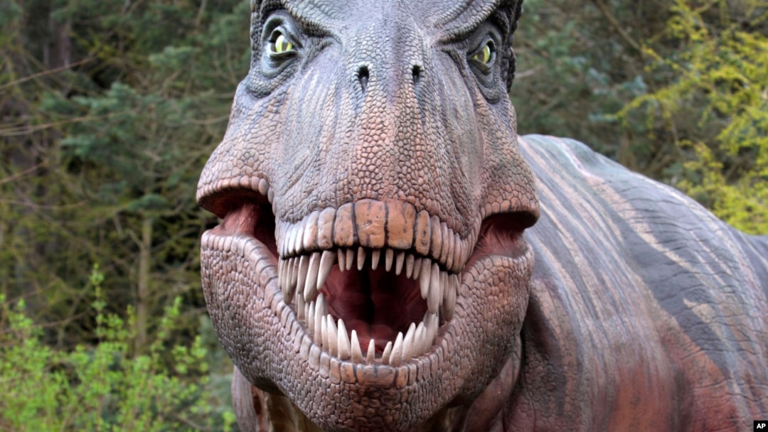 Replika dinosaurus Tyrannosaurus rex di Kebun Binatang Woodland Park di Seattle, Washington.