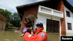 A Slovenian Civil Protection rescue worker saves a dog during heavy floods in the village of Prud, Bosnia-Herzegovina, May 20, 2014. 