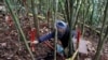 EU Regrets US Military Policy About-Face on Landmines