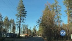 Річниця пожежі у місті Парадайс, трагедія, що об’єднала сусідів та розвіяла стереотипи. Відео