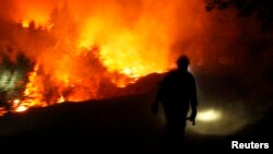 A firefighter is seen in this undated U.S. Forest Service handout photo near Yosemite National Park, California, released to Reuters August 30, 2013.