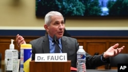 Director of the National Institute of Allergy and Infectious Diseases Dr. Anthony Fauci testifies before a House Committee on Energy and Commerce on the Trump administration's response to the COVID-19 pandemic on Capitol Hill in Washington, June 23, 2020.