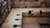 Quiz - Roman Toilets Offered No Clear Health Benefits