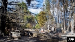 Una zona quemada debido a un incendio forestal se ve en Epuyén, en la región patagónica de la provincia de Chubut, Argentina, el 16 de enero de 2025.