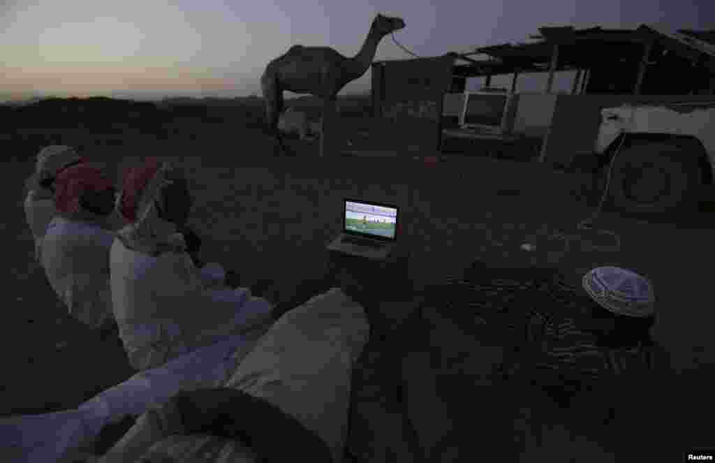 Men watch the 2014 World Cup Group B soccer match between the Netherlands and Australia on a laptop, at a camel market in Daba near Tabuk, Saudi Arabia, June 18, 2014.