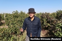 Winemaker Ian Dai walks through his vineyard near Yinchuan, Ningxia Hui Autonomous Region, China, October 11, 2021. (REUTERS/Norihiko Shirouzu)