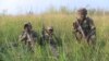 RDC : combats entre l’armée et des rebelles ougandais