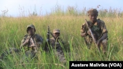 Des soldats congolais dans le parc des Virunga