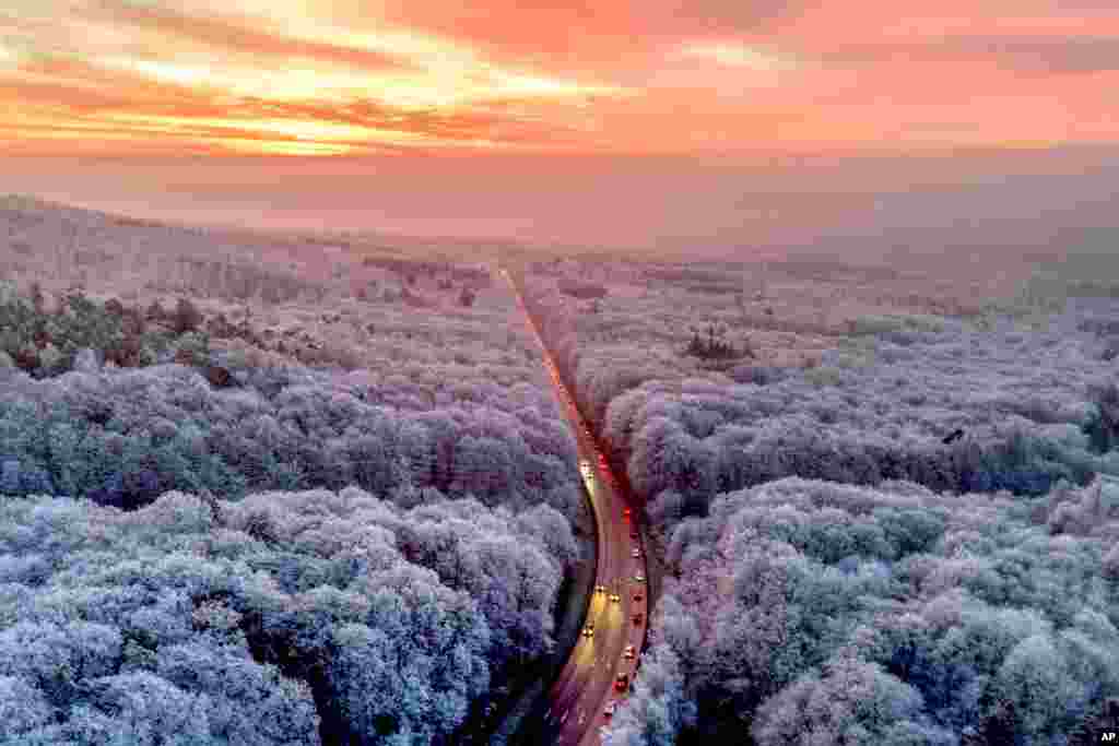 Commuters drive through a frozen forest towards the fog covered city of Frankfurt, Germany, on a cold Wednesday.