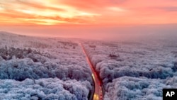 Commuters drive through a frozen forest towards the fog covered city of Frankfurt, Germany, on a cold Wednesday.