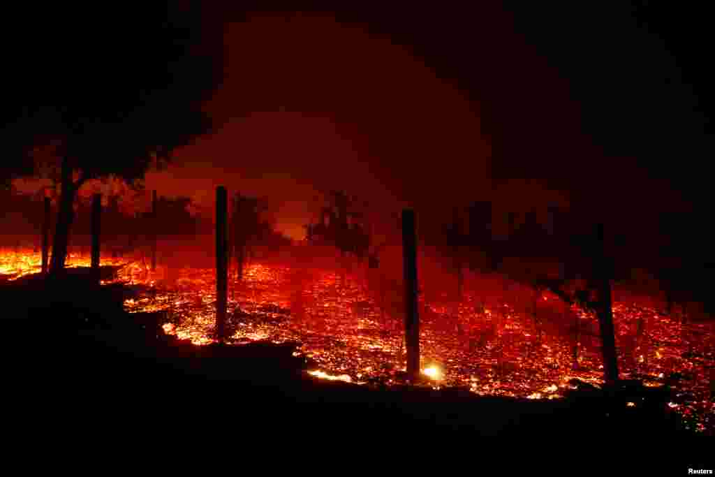 Un viñedo se quema durante la noche durante un incendio forestal que destruyó decenas de casas en Thousand Oaks, Calif., Nov. 9, 2018.