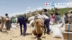 Manchetes Africanas 11 Junho 2021: ONU preocupada com situação humanitária em Tigray