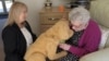 Can Robot Dogs Help People with Alzheimer’s?