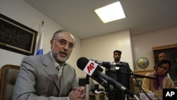 Iranian Foreign Minister Ali Akbar Salehi (file photo)