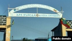 Assosa University 