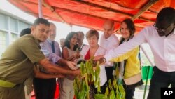 World Bank’s Chief Executive Officer Kristalina Georgieva, center, along with other commissioners of the Global Commission on Adaptation to climate change, plants a tree in the southern coastal district of Cox's Bazar, Bangladesh, July 10, 2019.