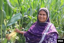 پاکستان کی آبادی کا ایک بڑا حصہ زراعت کے شعبے سے وابستہ ہے۔ زرعی پیداوار میں اضافے سے ان کا معیار زندگی بلند ہو سکتا ہے۔