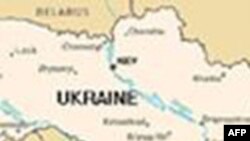 В Украине предотвращена продажа радиоактивных материалов