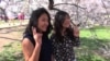 Visitors Experience Beauty of Washington's Famous Cherry Blossoms