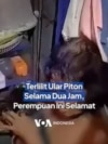 Terlilit Ular Piton Selama Dua Jam, Perempuan Thailand Selamat