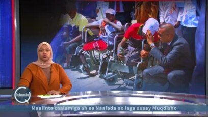 Maalinta naafada oo laga xusay Muqdisho