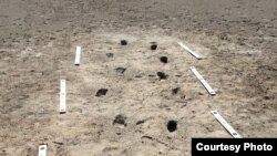 Human footprint tracks are seen at White Sands National Monument, New Mexico. (Photo credit: Matthew Bennett, Bournemouth University)