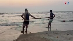 ماهیگیری توسط جال‌های بزرگ 