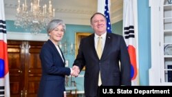 마이크 폼페오 미국 국무장관과 강경화 한국 외교장관이 지난 29일 워싱턴 국무부 청사에서 회담했다.