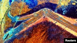 The wing of the birdlike feathered dinosaur Anchiornis is pictured under laser-stimulated fluorescence in this undated handout photo. (Xiaoli Wang, Michael Pittman, et al.)