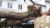 Fierce Storm Causes Deaths, Damage and Delays Across Europe