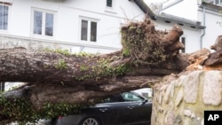 A tree rests on a car in Hamburg, Germany, Feb. 10, 2020. A storm battered the U.K. and northern Europe with hurricane-force winds and heavy rains Sunday