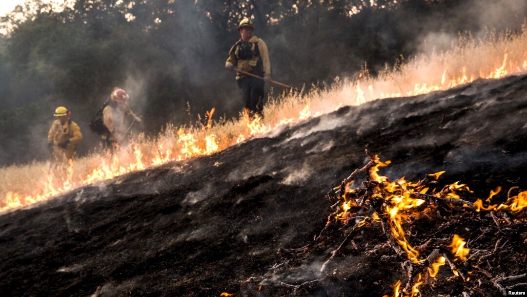 Kebakaran hutan di sebelah utara San Francisco, AS telah menghanguskan 24 ribu hektar lahan (foto: dok).