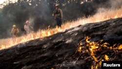 Firefighters work to dig a fire line on the Rocky Fire in Lake County, California, July 30, 2015.