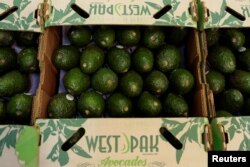 Avocados are seen at a packaging warehouse of La Joya de los Magueyes plantation in Tancitaro, in Michoacan state, Mexico, Jan. 28, 2017.