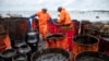 Des ouvriers ramassent des fuites de pétrole sur la plage de la Rivière des Créoles le 15 août 2020, en raison de la fuite de pétrole du navire MV Wakashio. (Photo by Fabien Dubessay / AFP)