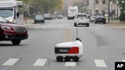 Yon wobo kap livre manje travese yon boulva nan vil Ann Arbor, eta Michigan, 7 Oct. 2021.