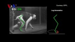 Hope For Paraplegics