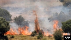 12 جون 2024 کو اسرائیل کے سفید کے مضافات میں جنوبی لبنان سے لانچ کیے گئے راکٹوں کے نشانہ بنانے کے بعد آگ نے پودوں کو جلا دیا۔ فوٹو اے ایف پی۔
