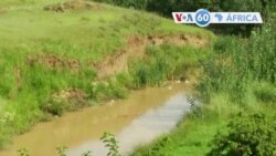 Manchetes Africanas 10 Fevereiro 2020: "Silenciar das Armas" mote da cimeira da União Africanas