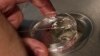 Scientists Take Step Toward Creating Artificial Embryos