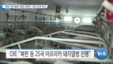 [VOA 뉴스] “북한 ‘돼지열병’ 발병 진행국…정보 공개 촉구”