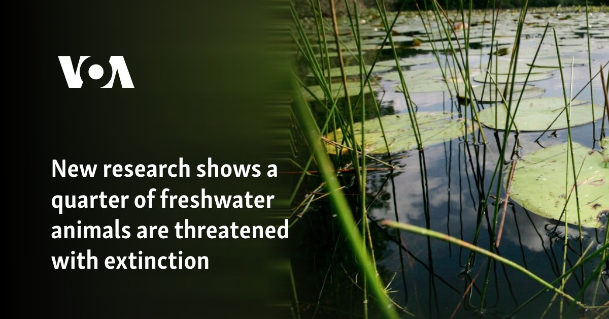 New research shows a quarter of freshwater animals are threatened with extinction