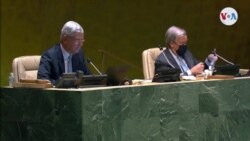 Venezuela en la ONU (afiliadas)